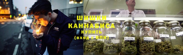 трава Лабытнанги