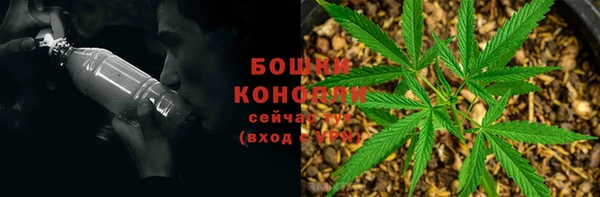 метадон Лагань