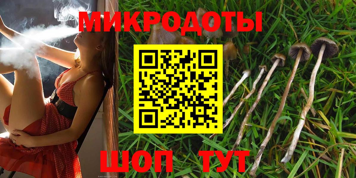 Галлюциногенные грибы MAGIC MUSHROOMS  Вход с VPN  Псилоцибиновые грибы мухоморы  Смоленск 