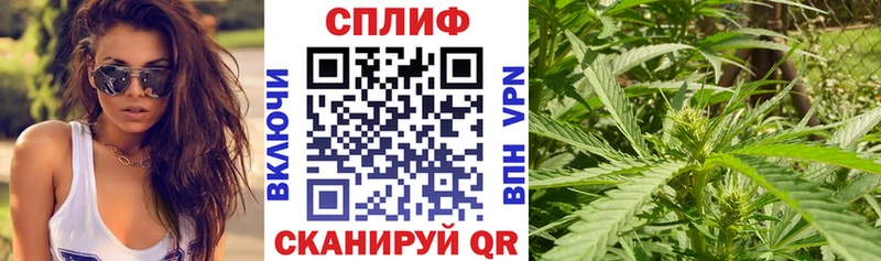 Каннабис Bruce Banner  Смоленск 